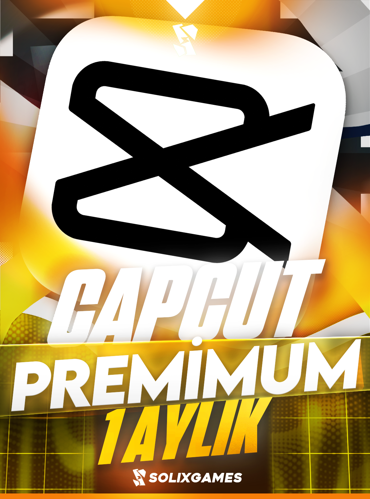CapCut Pro 1 Aylık
